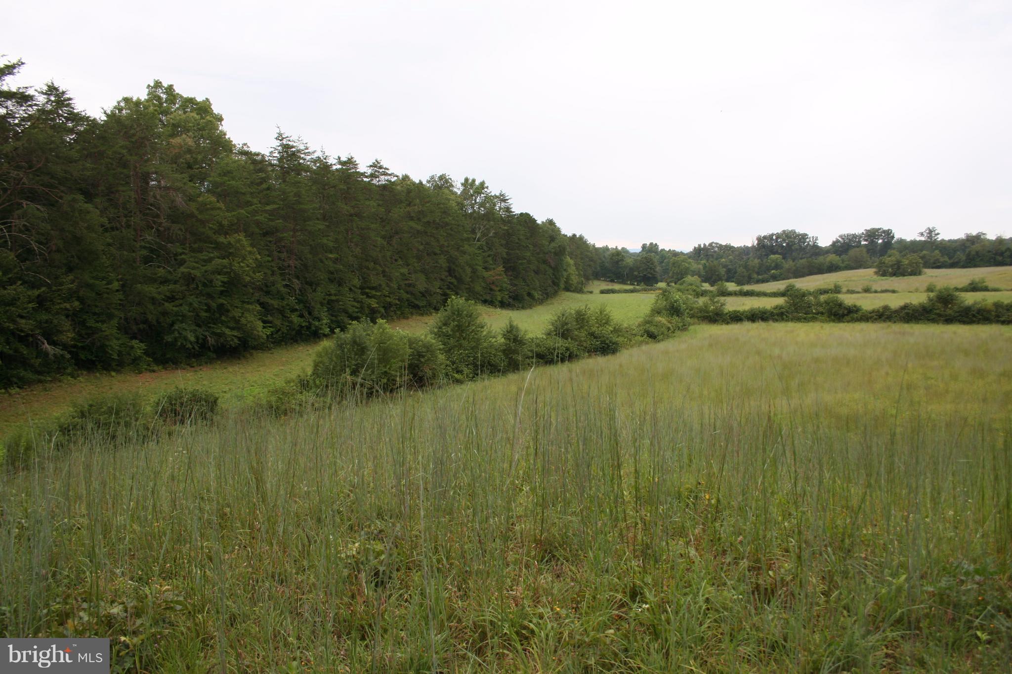 Burnley Road Barboursville, VA 22923 - Photo 14 of 29 View of Open Fields