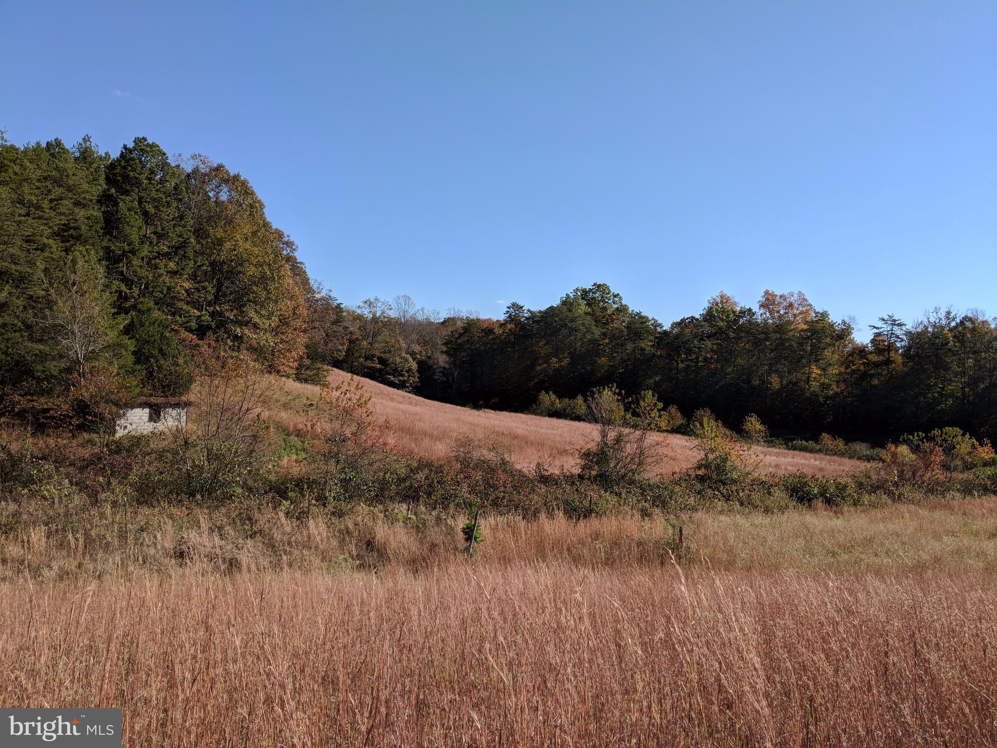 Burnley Road Barboursville, VA 22923 - Photo 3 of 29 View