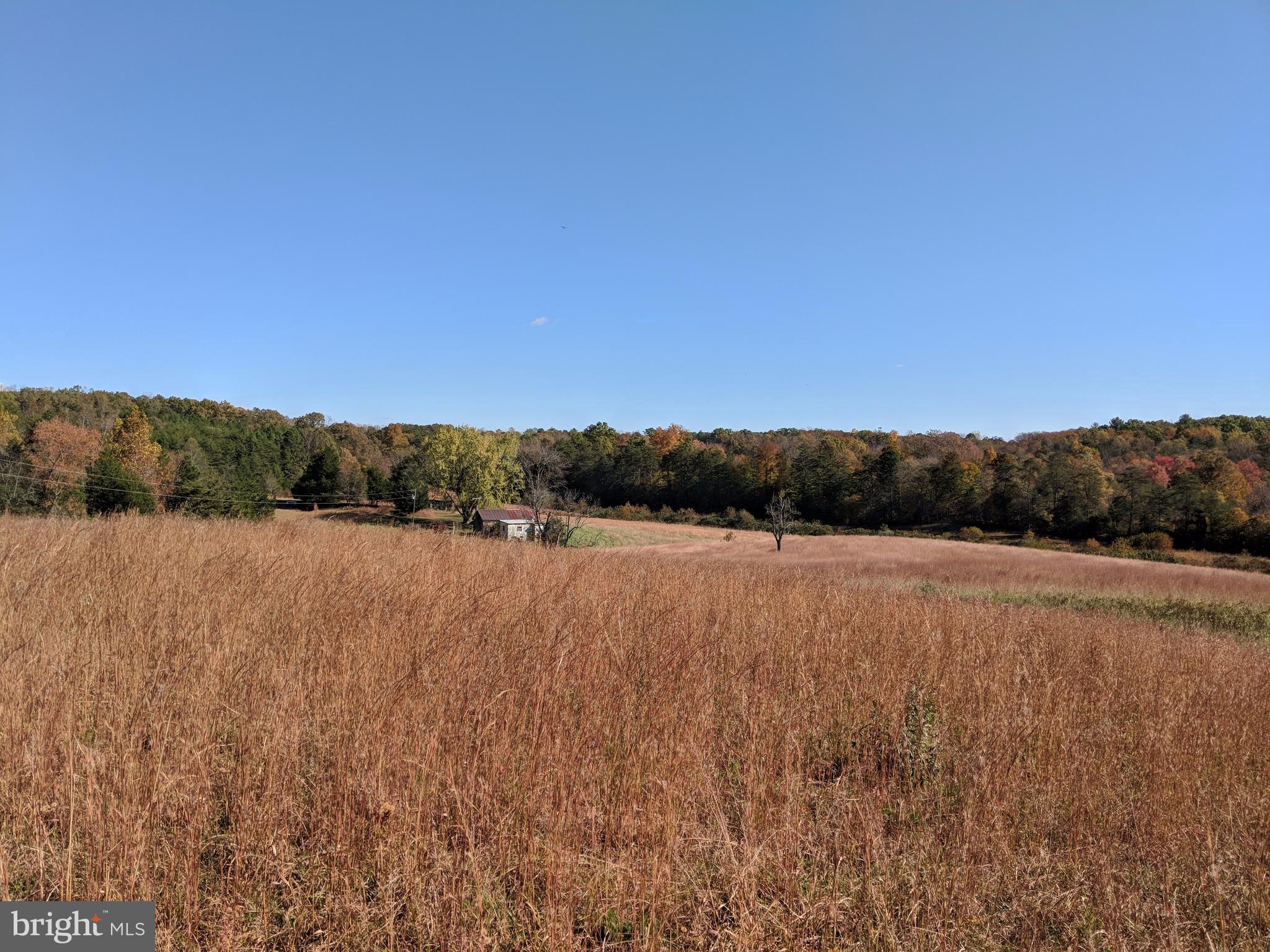 Burnley Road Barboursville, VA 22923 - Photo 4 of 29 View