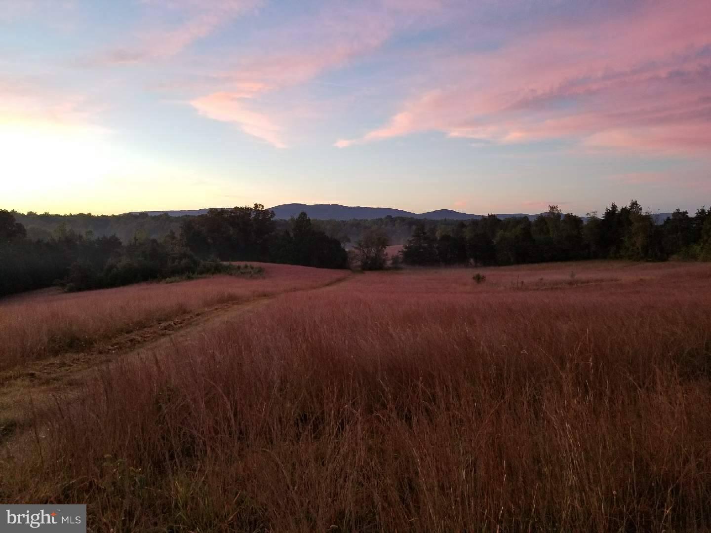 Burnley Road Barboursville, VA 22923 - Photo 9 of 29 Sunset