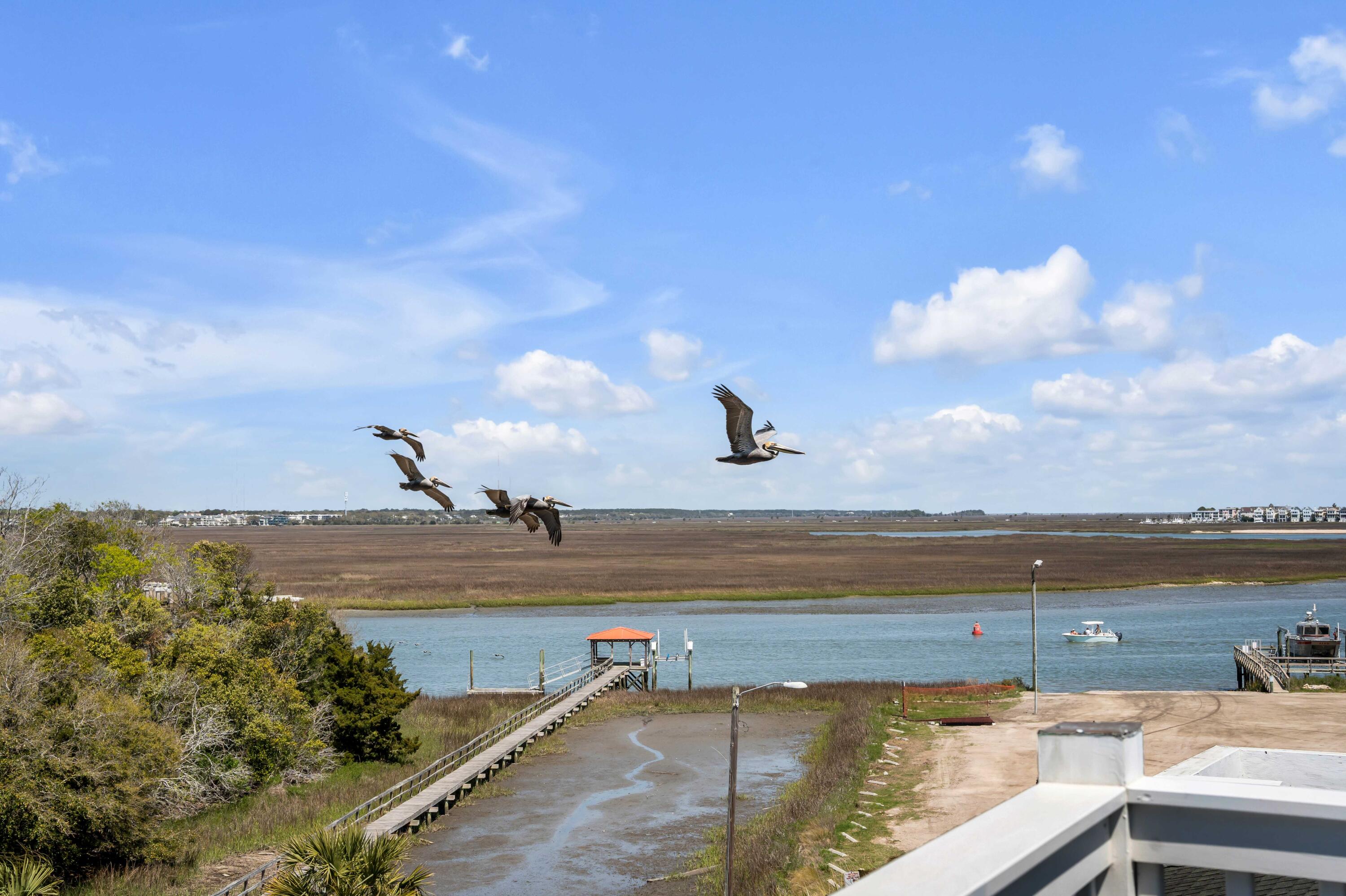 904 Middle Street Sullivans Island, SC 29482 - Photo 55 of 64 View_904 Middle_6