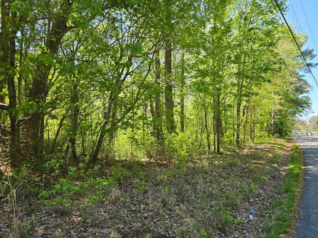 0 Winterville Road Bloxom, VA 23308 - Photo 2 of 3