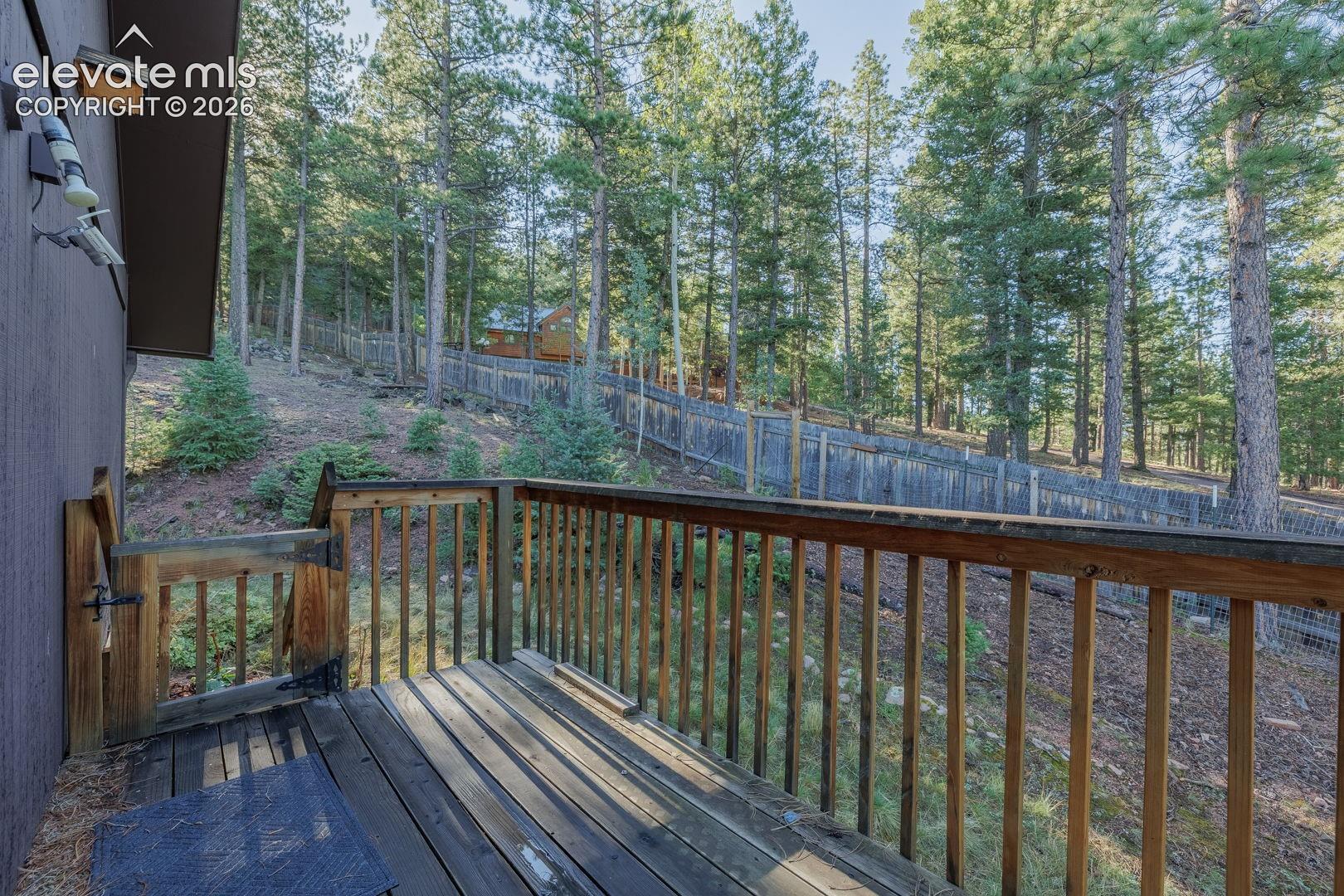 1170 Pine Ridge Road Woodland Park, CO 80863 - Photo 24 of 49 Gallery Image 24