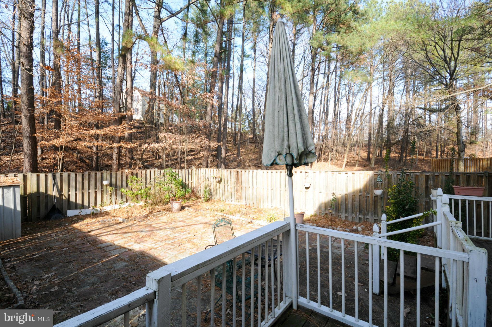 8324 Moline Place Springfield, VA 22153 - Photo 24 of 25 Exterior (Rear)
