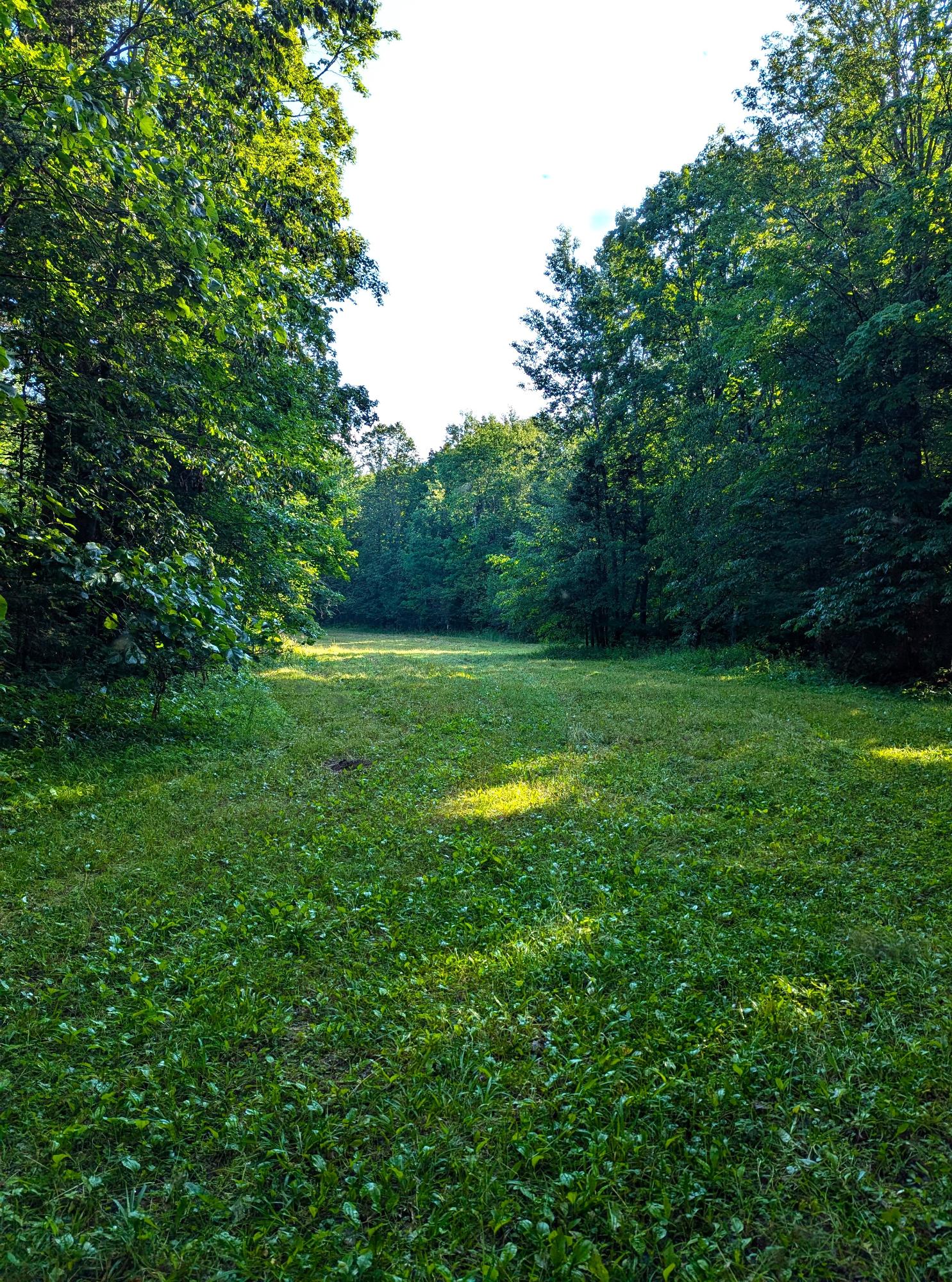 N7032 Carpenter Creek Road Phillips, WI 54555 - Photo 28 of 48 Gallery Image 28