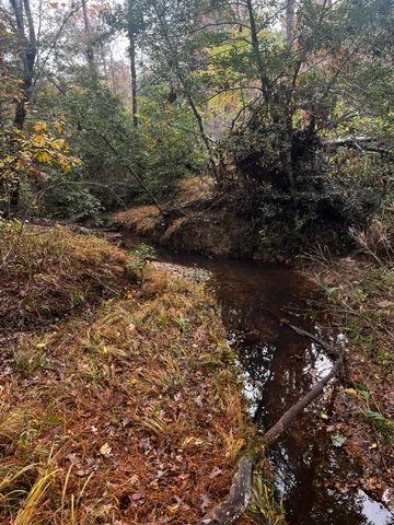 $24,500 | 1 Pates Mill Road, Warrenton, GA 30828