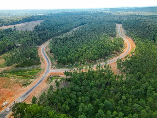 a view of a garden with an outdoor space