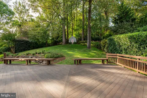 a view of a park with large trees