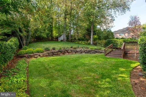 a view of a park with large trees