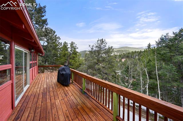 580 Timber Ridge Road Divide, CO 80814 - Photo 13 of 29