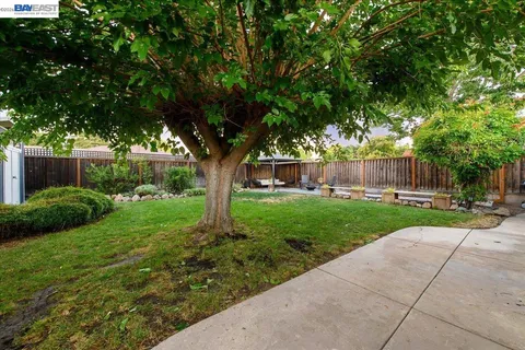 a view of a house with backyard and a tree