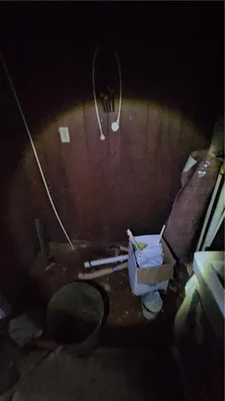 a big yard with a tree