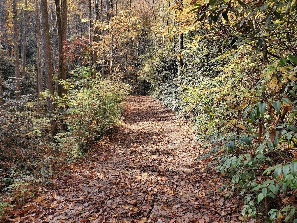 1 Mill Creek Road Pigeon Forge, TN 37862 - Photo 15 of 26 Gallery Image 15