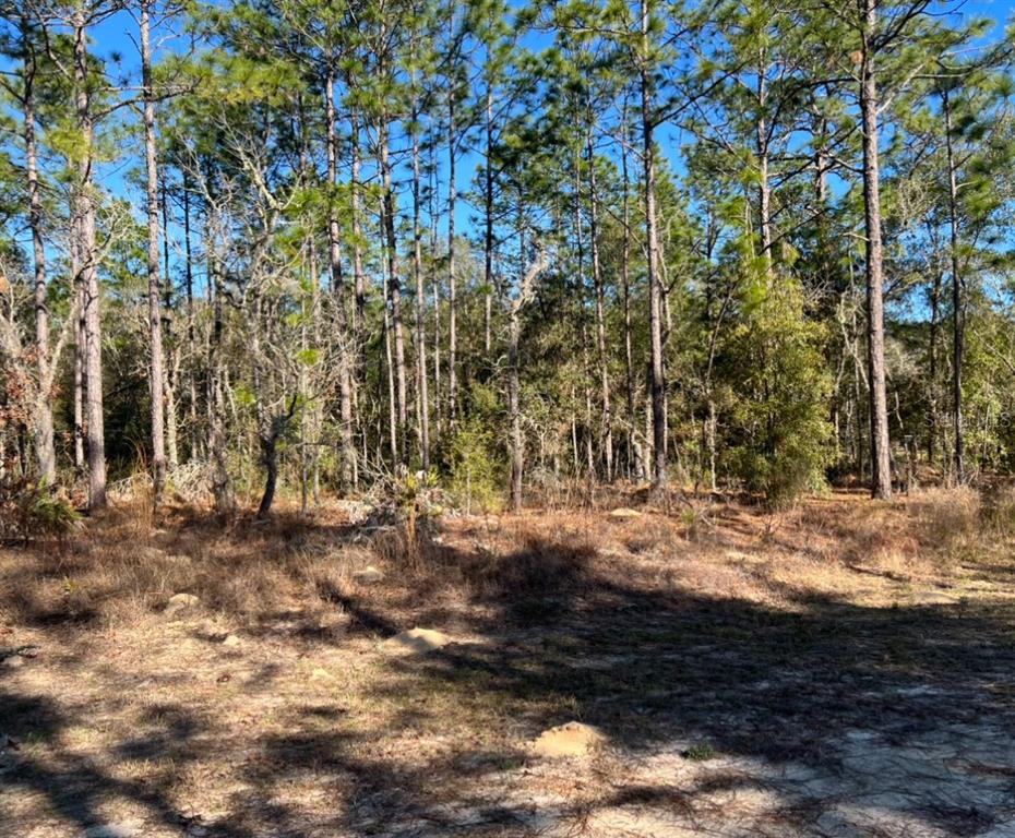 0 Southwest 54th Ln Road Ocala, FL 34481 - Photo 1 of 1