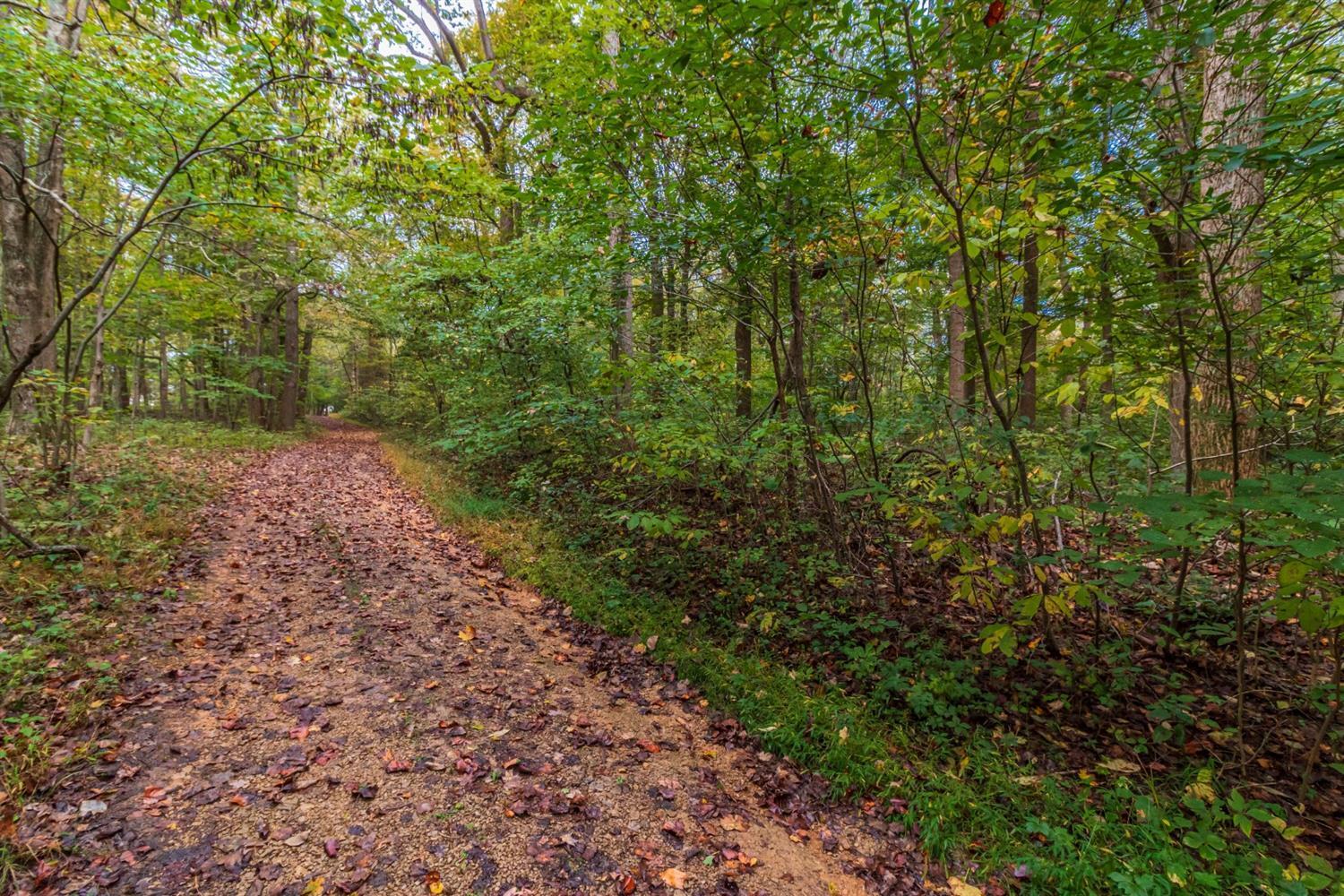 0 Tom Hurley Road Manchester, OH 45144 - Photo 12 of 13