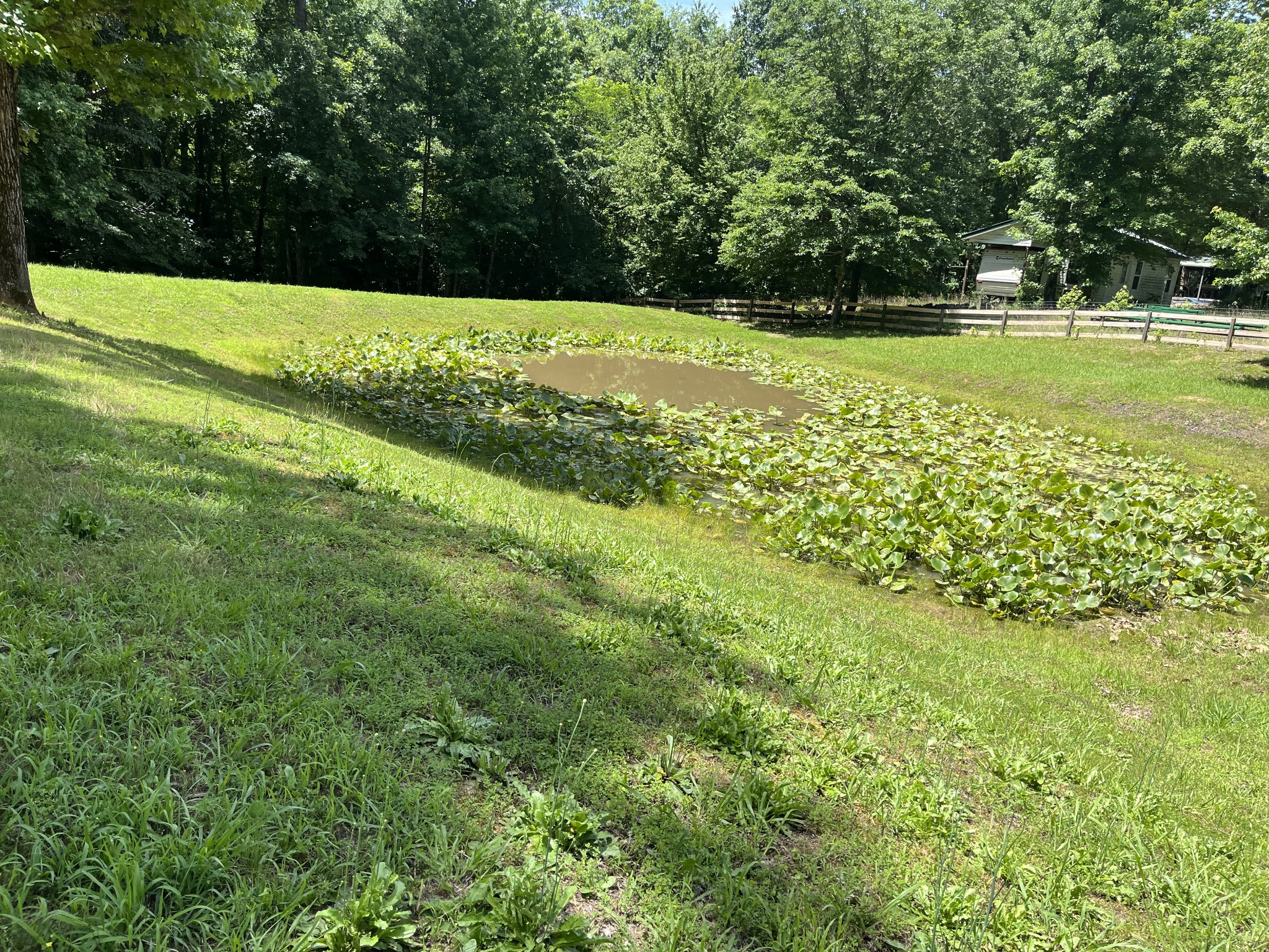 166 Outback Road Lobelville, TN 37097 - Photo 27 of 27