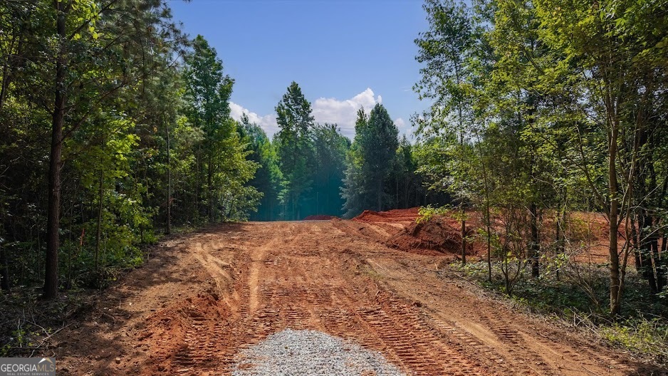 0 Shirey Dairy Road Carrollton, GA 30117 - Photo 15 of 19