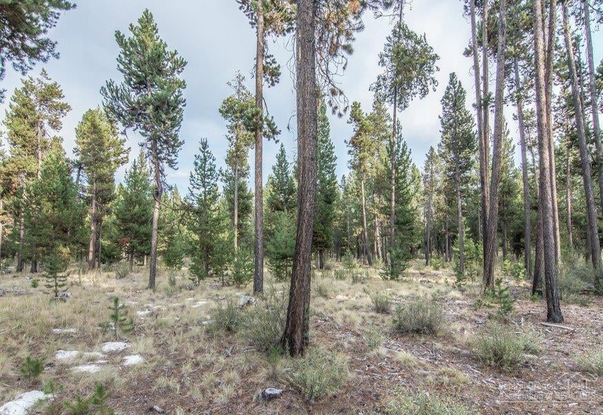 56456 Sunstone Loop Bend, OR 97707 - Photo 14 of 15 Additional Photo