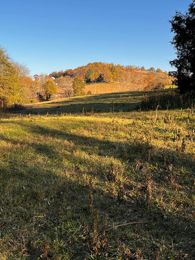 Tbd Reedy Creek Road Bristol, VA 24202 - Photo 6 of 28 Gallery Image 6