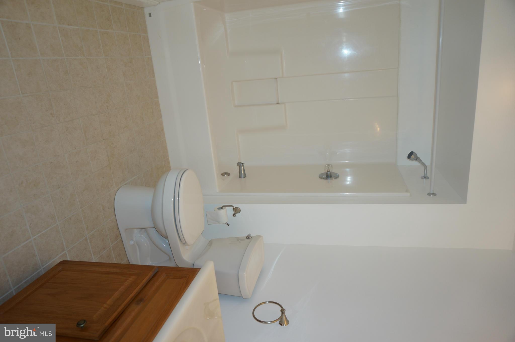 212 Greenland Beach Road Baltimore, MD 21226 - Photo 21 of 25 Bath (Master)