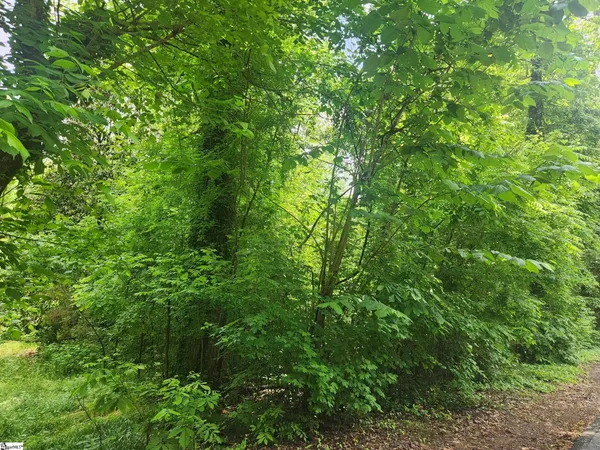 $180,000 | 0 Tibbitts Lane, Waterloo, SC 29384