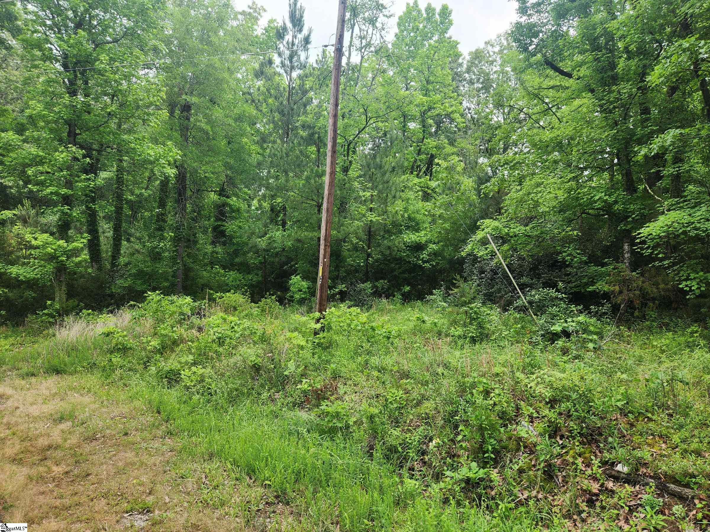 0 Tibbitts Lane Waterloo, SC 29384 - Photo 11 of 16