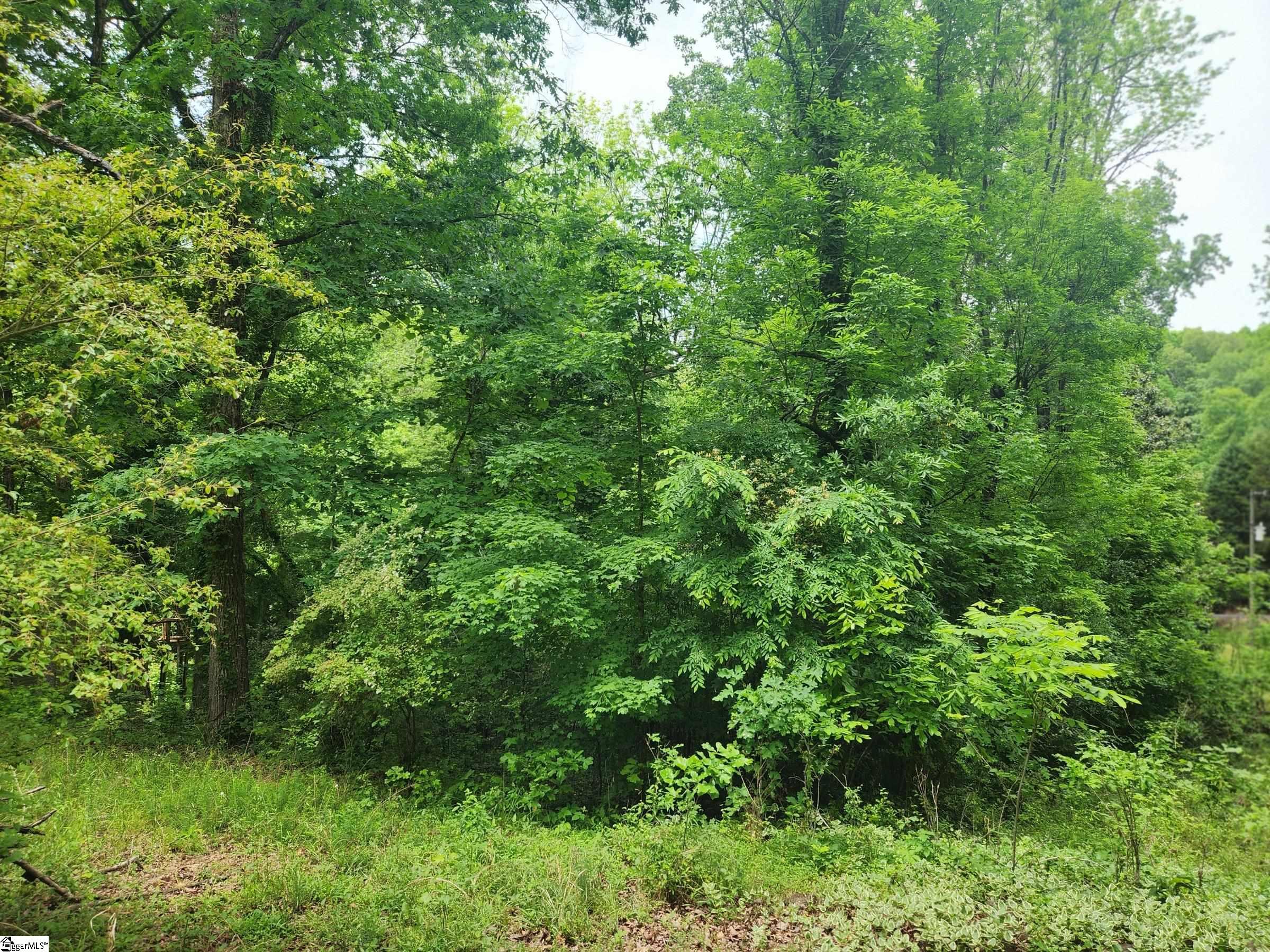0 Tibbitts Lane Waterloo, SC 29384 - Photo 12 of 16