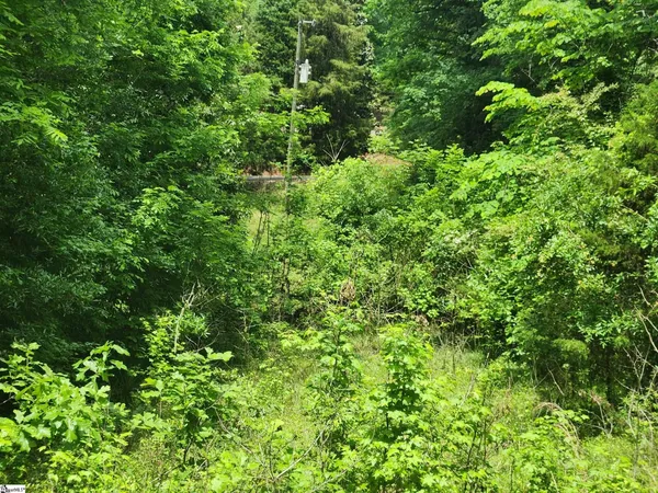 $180,000 | 0 Tibbitts Lane, Waterloo, SC 29384