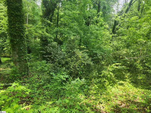 $180,000 | 0 Tibbitts Lane, Waterloo, SC 29384