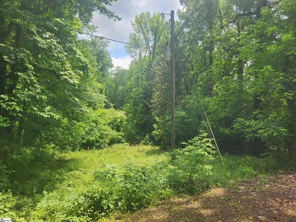 $180,000 | 0 Tibbitts Lane, Waterloo, SC 29384