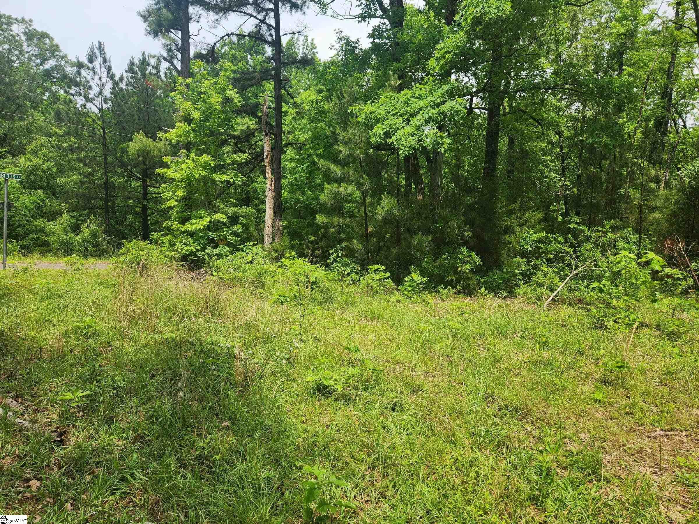 0 Tibbitts Lane Waterloo, SC 29384 - Photo 7 of 16
