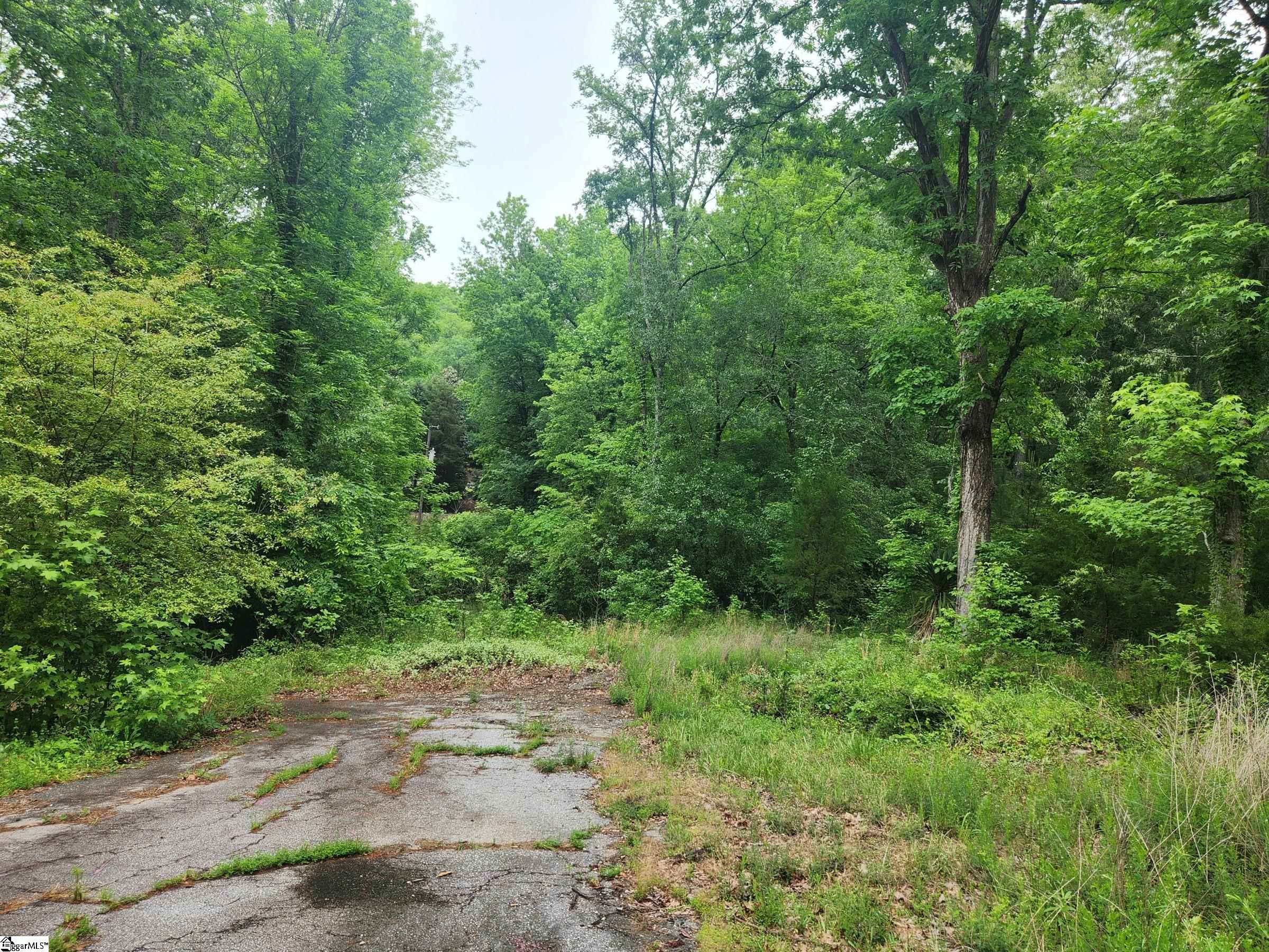0 Tibbitts Lane Waterloo, SC 29384 - Photo 8 of 16