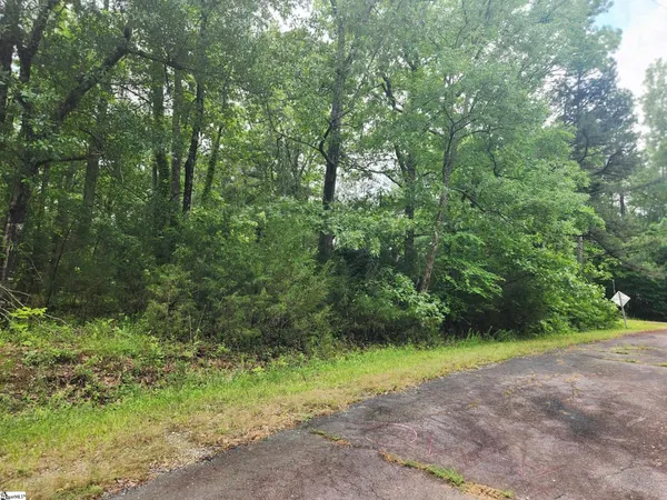 $180,000 | 0 Tibbitts Lane, Waterloo, SC 29384