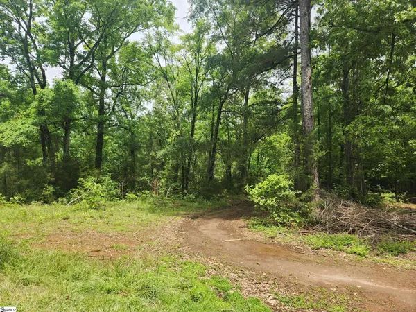 $180,000 | 0 Tibbitts Lane, Waterloo, SC 29384