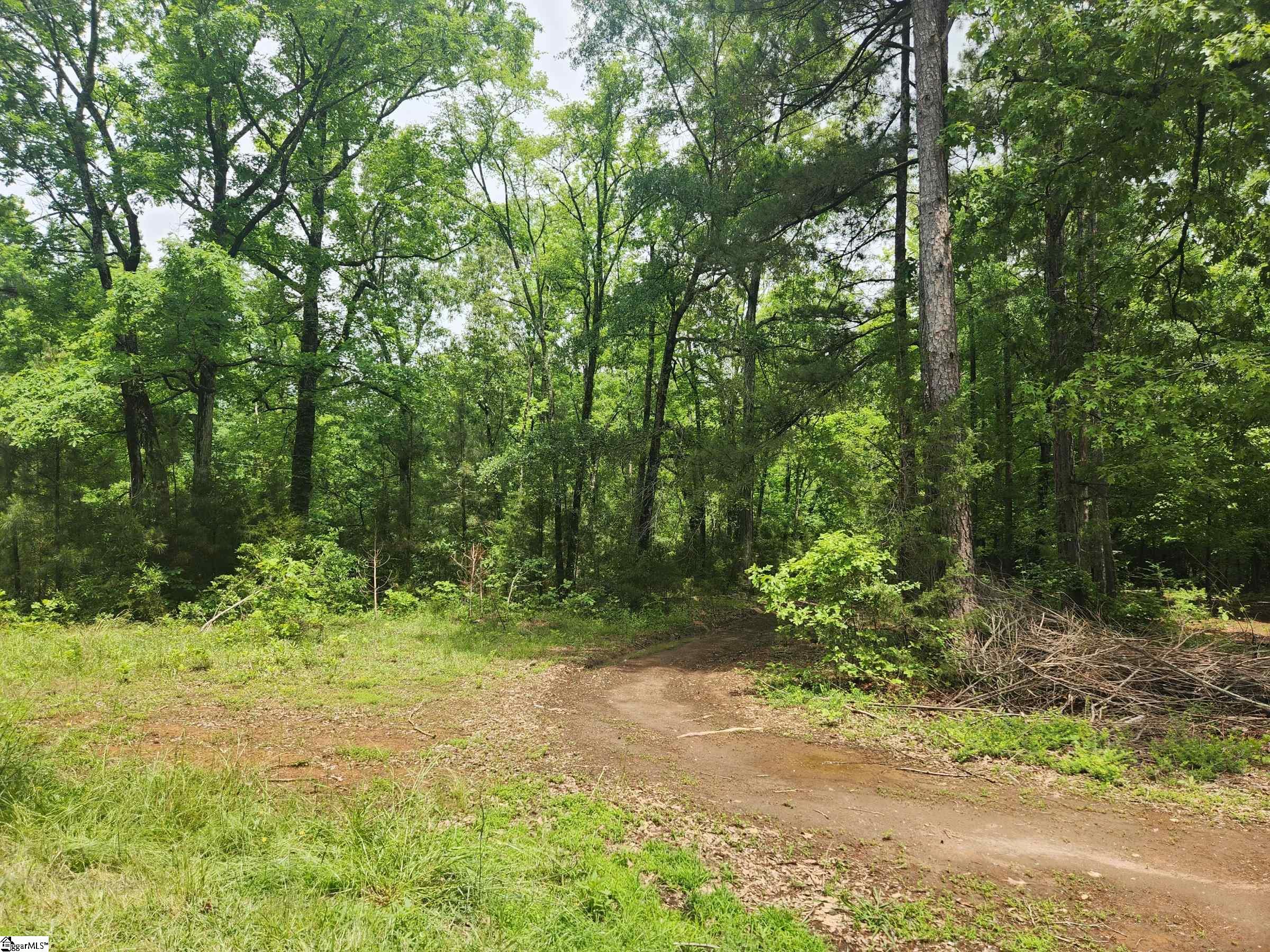 0 Tibbitts Lane Waterloo, SC 29384 - Photo 10 of 16