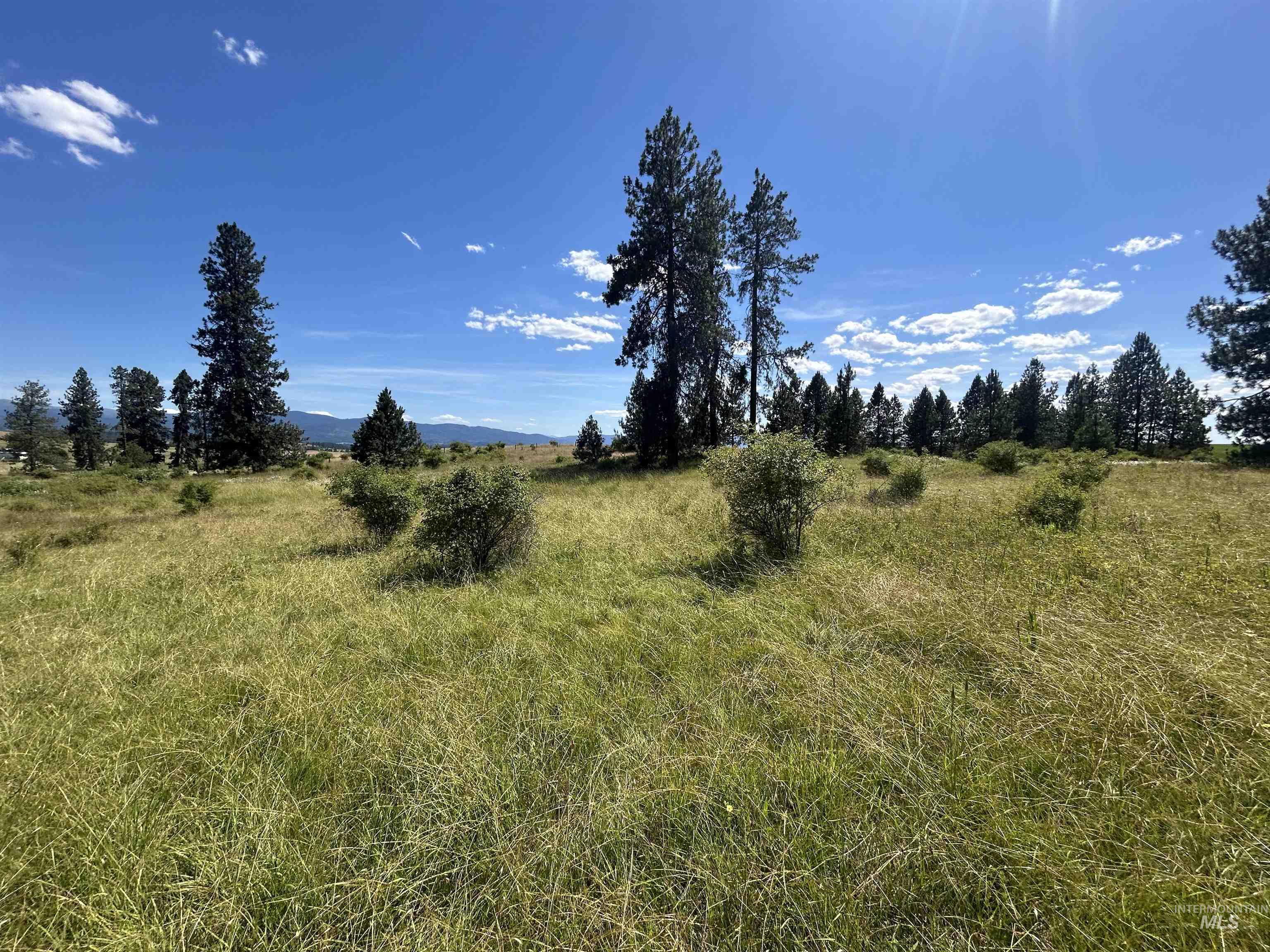 Tbd Lot 1 Tbd Road Kooskia, ID 83539 - Photo 12 of 13
