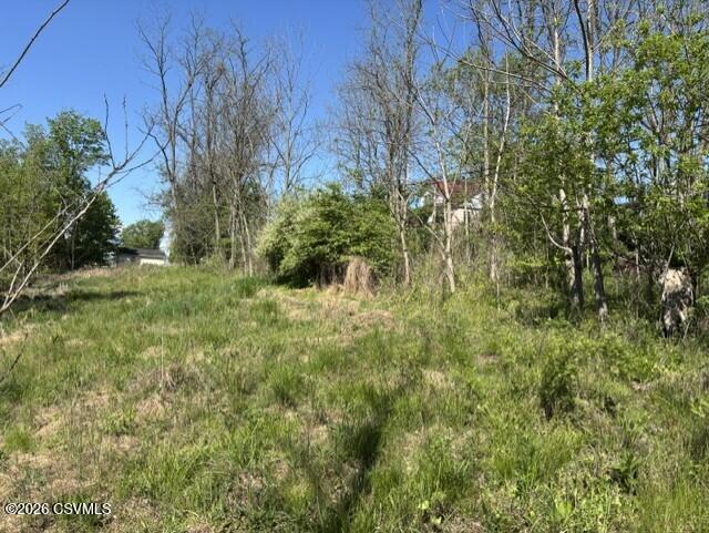 Front Street Danville, PA 17821 - Photo 6 of 30