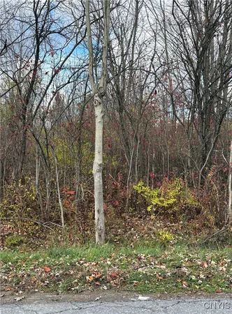 $37,900 | Hinds Road, Redwood, NY 13679