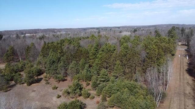 17 9 9 Mile Road Irons, MI 49644 - Photo 32 of 36