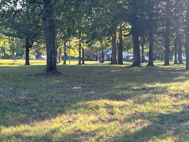 1386 Chisholm Road Cypress Inn, TN 38452 - Photo 6 of 45