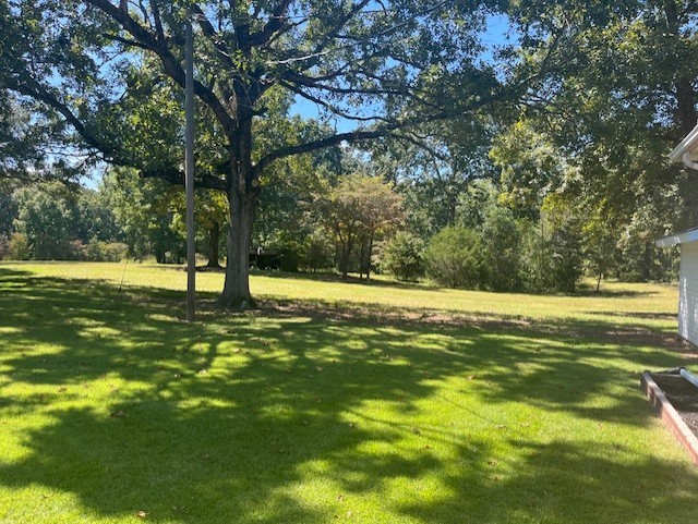 1386 Chisholm Road Cypress Inn, TN 38452 - Photo 10 of 45