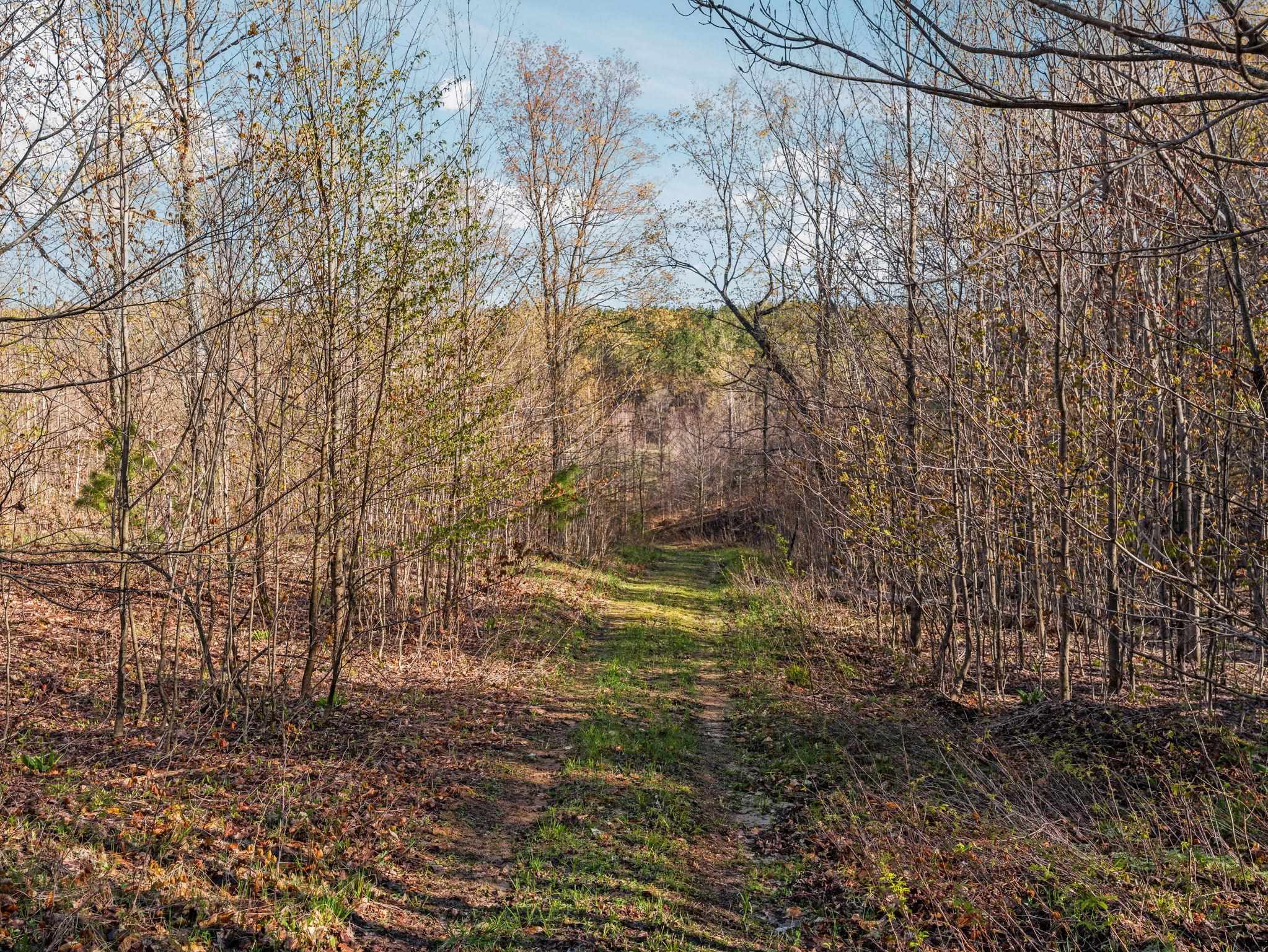 0 East 20th Road, Unit NEAREST ADDRESS ACROSS T Mesick, MI 49668 - Photo 13 of 27