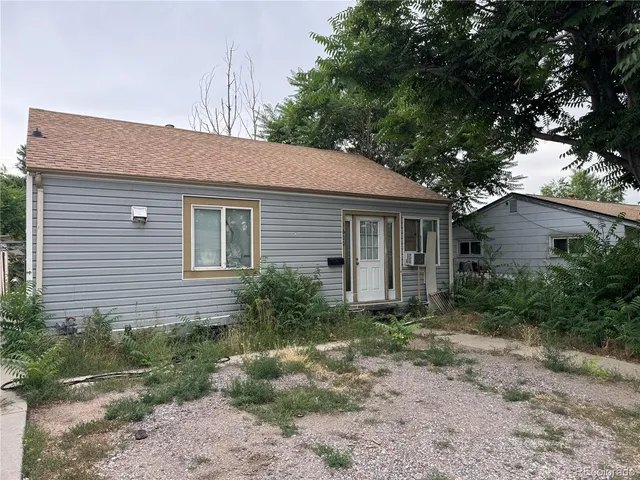 a backyard of a house with plants and tree