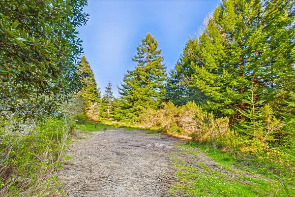 $169,000 | 155 Old Ranch Road, Rio Dell, CA 95562