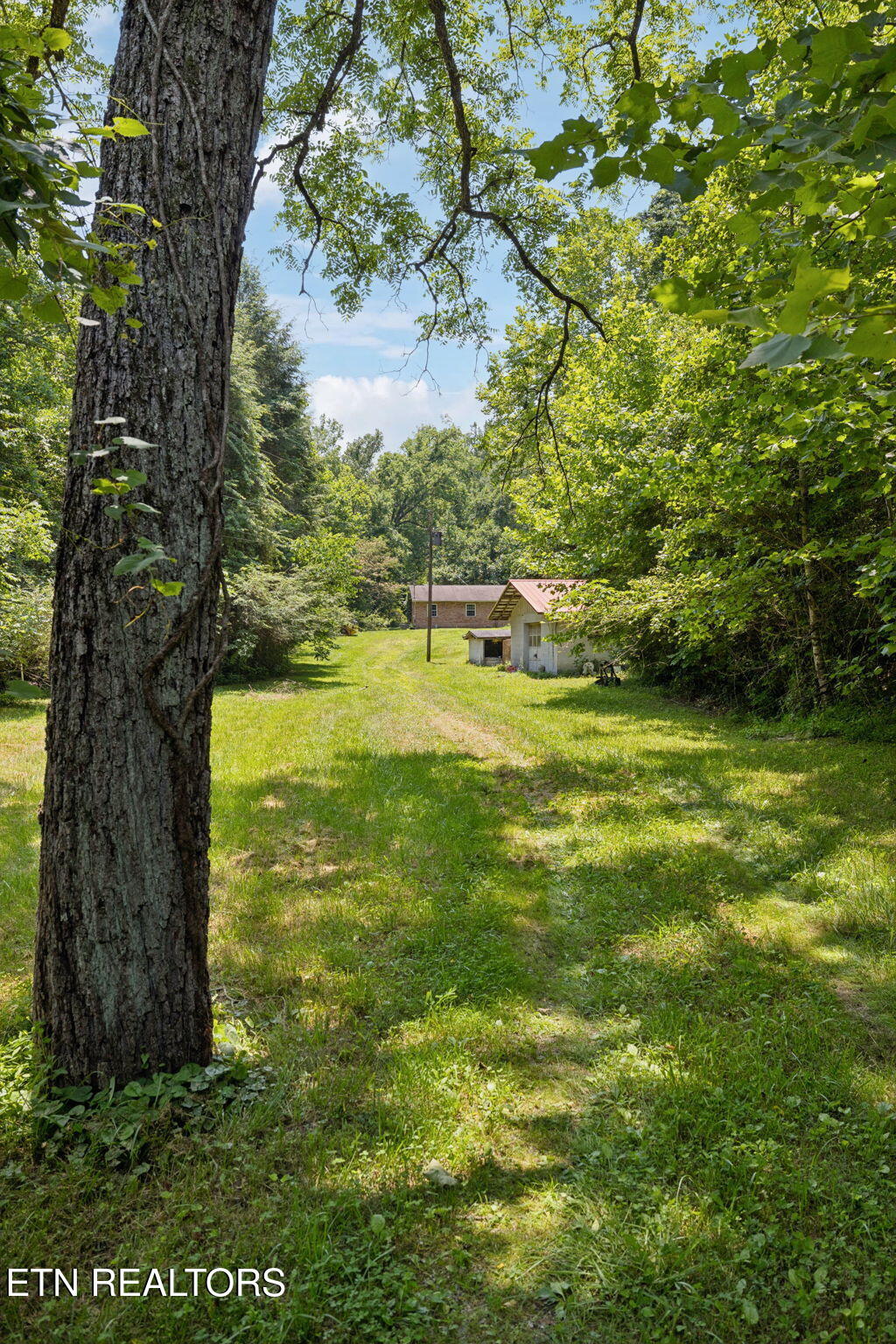 24-web-or-mls-283 Eblen Cave Rd Lenoir C