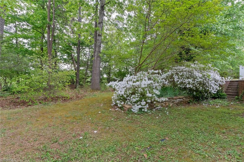 388 Eldora Road Ararat, NC 27007 - Photo 21 of 31 Gallery Image 21