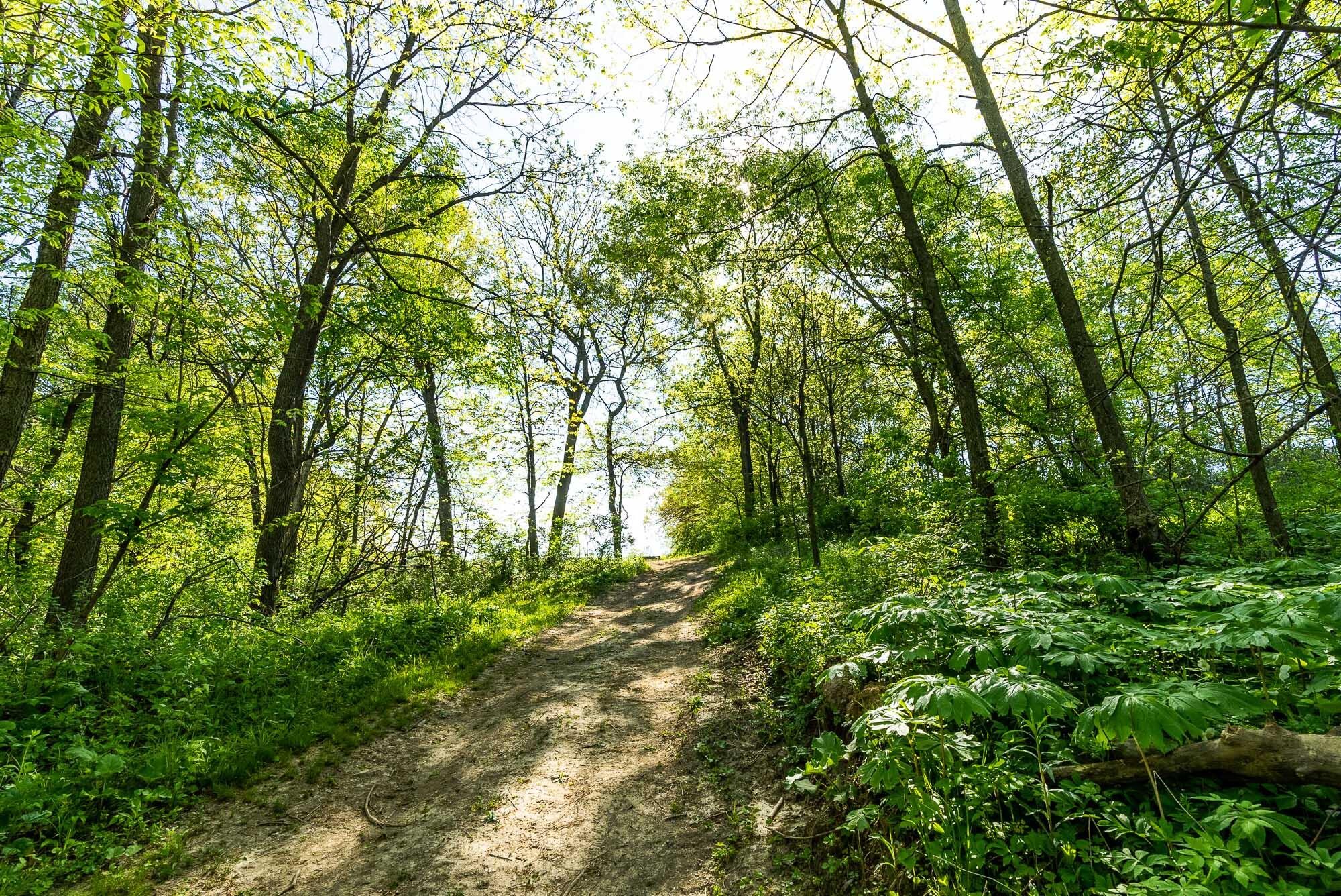 15999 Biba Road Muscoda, WI 53573 - Photo 51 of 103 Grant-County-WI-160-Acres-Land-For-Sale-