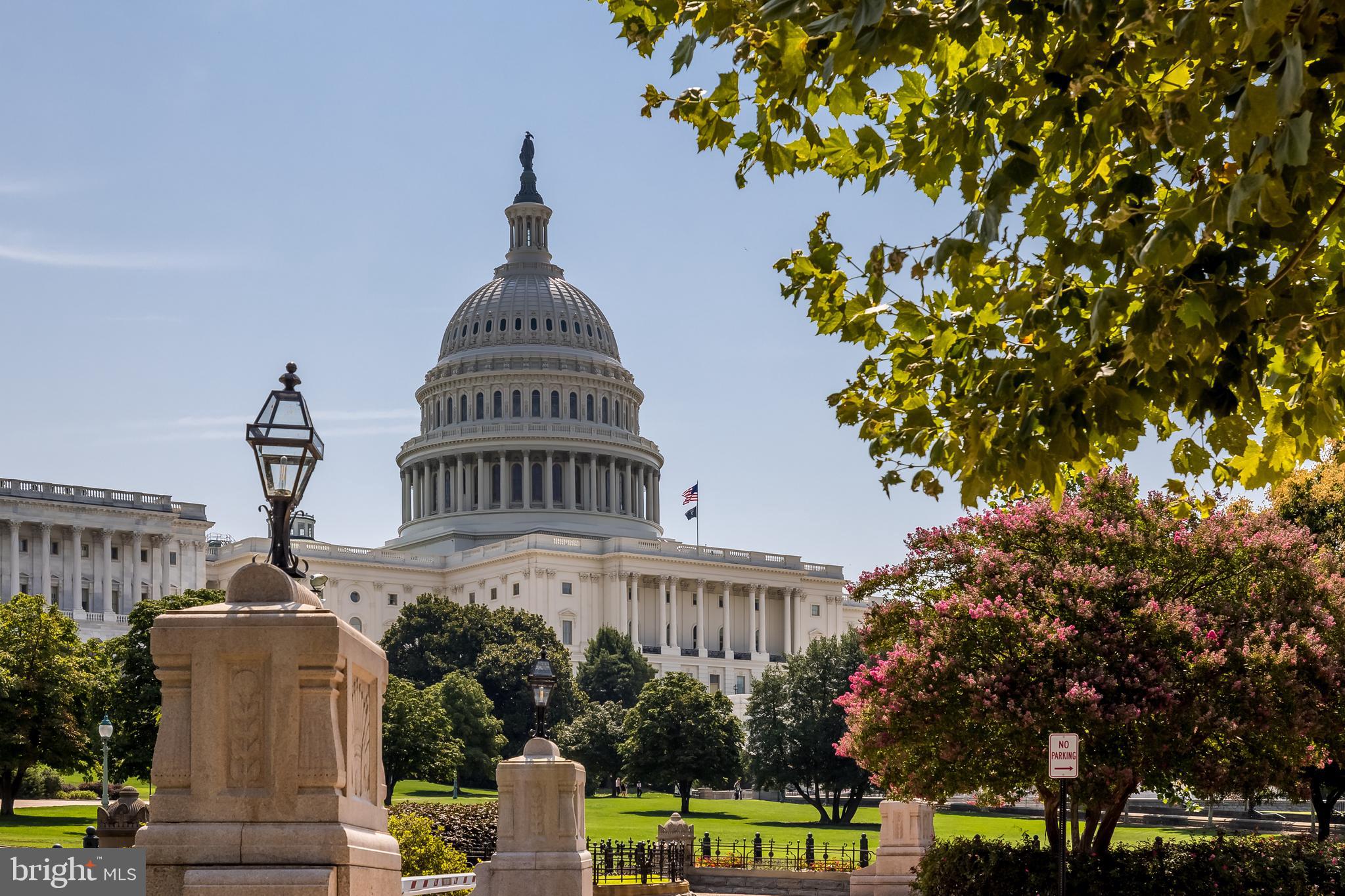 207 8th Street Northeast, Unit 1 Washington, DC 20002 - Photo 33 of 35
