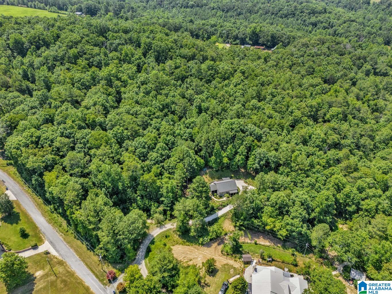 84 Dorr Road Oneonta, AL 35121 - Photo 38 of 44