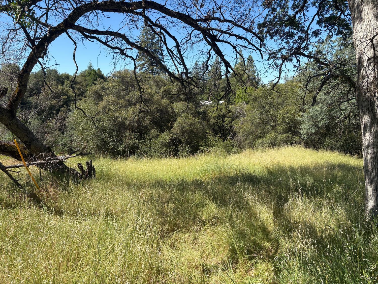 0 Sheep Ranch Road Mountain Ranch, CA 95246 - Photo 2 of 17